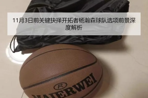 11月3日前关键抉择开拓者杨瀚森球队选项前景深度解析